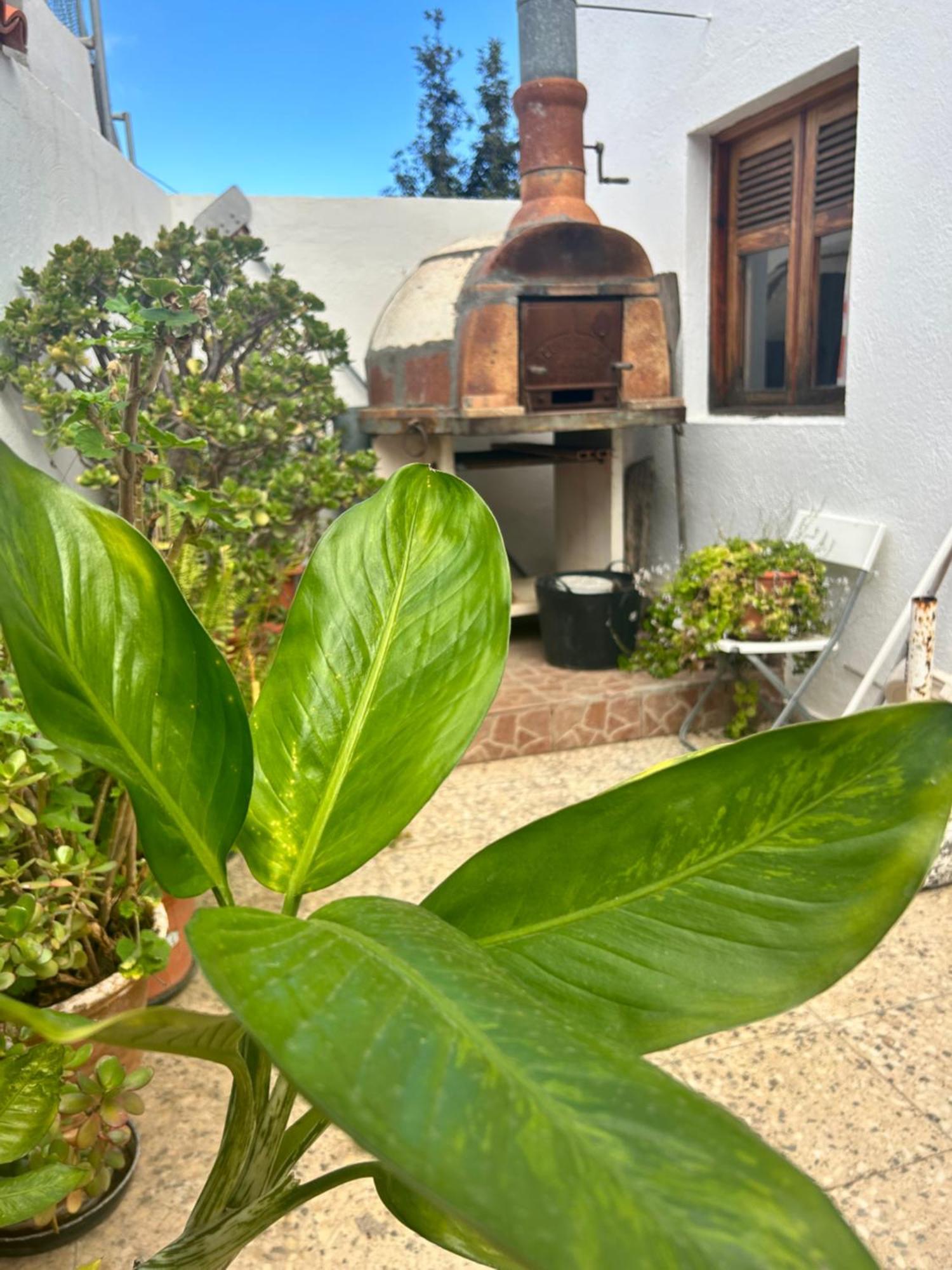 Casa Rural Teresita Entera Tranquila Llena De Bienestar Güimar Exterior foto